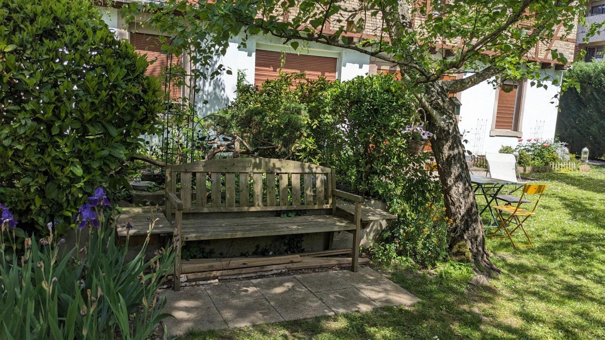 Le Petit Parc Apartamento Colmar Exterior foto